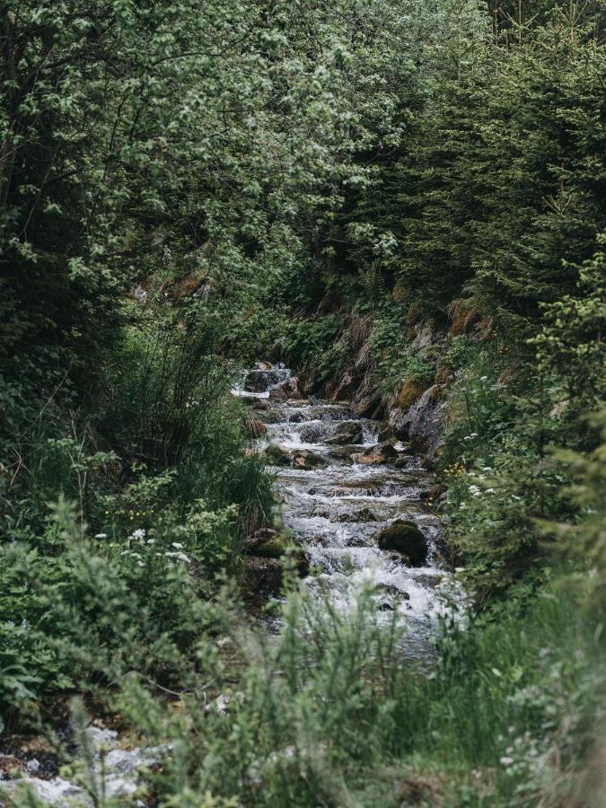 Vaya Achensee Inklusive Achenseecard อาเคนเคียร์ค ภายนอก รูปภาพ